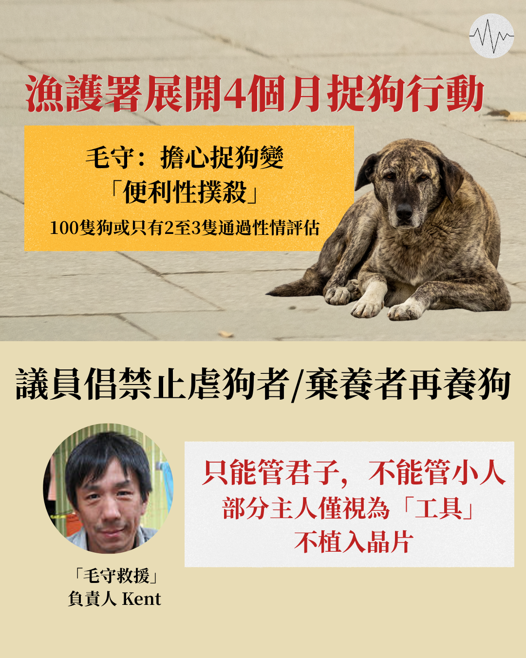 漁護署展開四個月捉狗行動 毛守擔心變「便利性撲殺」100隻狗或只有2至3隻通過性情評估