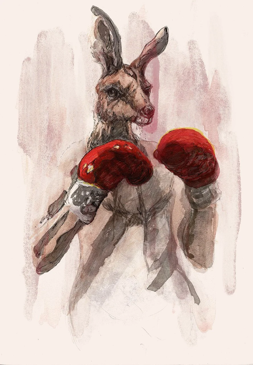 BoxingKang(WEB).jpg