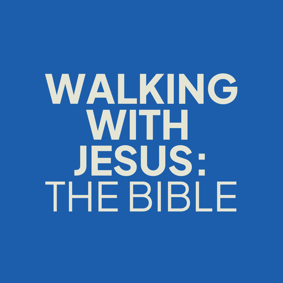 Walking With Jesus: The Bible episode artwork