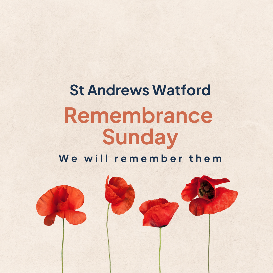Remembrance Sunday episode artwork
