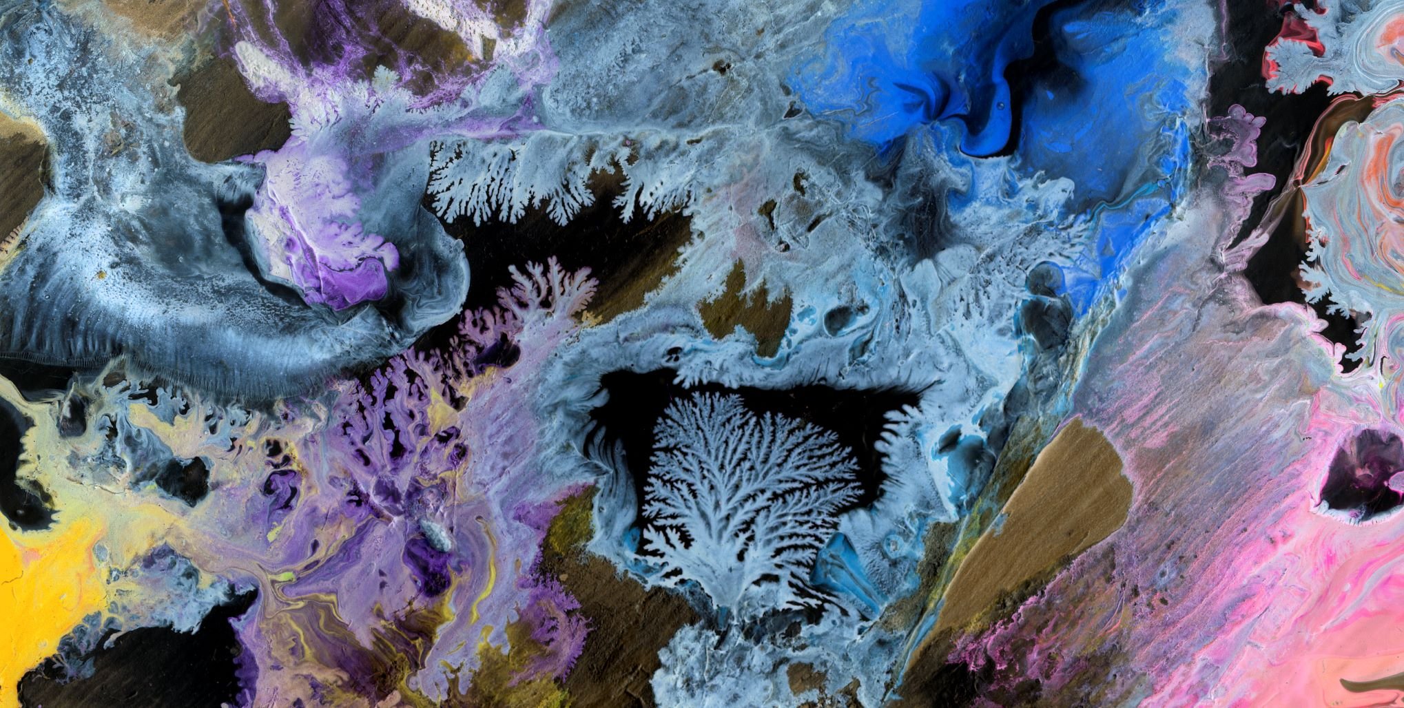 Artwork By Rob Kain, Angelsea Artist, Australia - A mesmerising sea of spectacular colours and intricate details in Pandora Paradox.