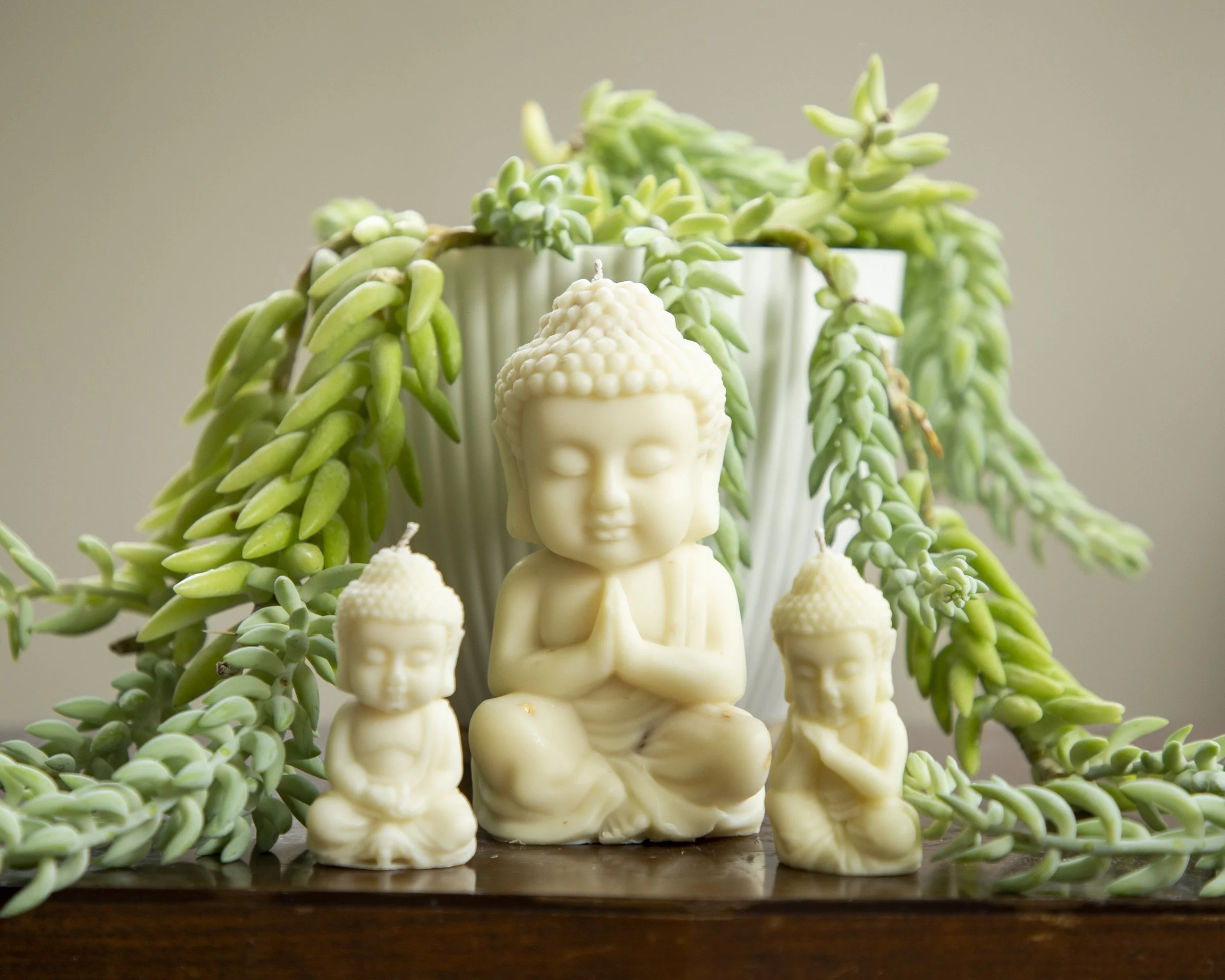 Lush Leaves Holiday Market