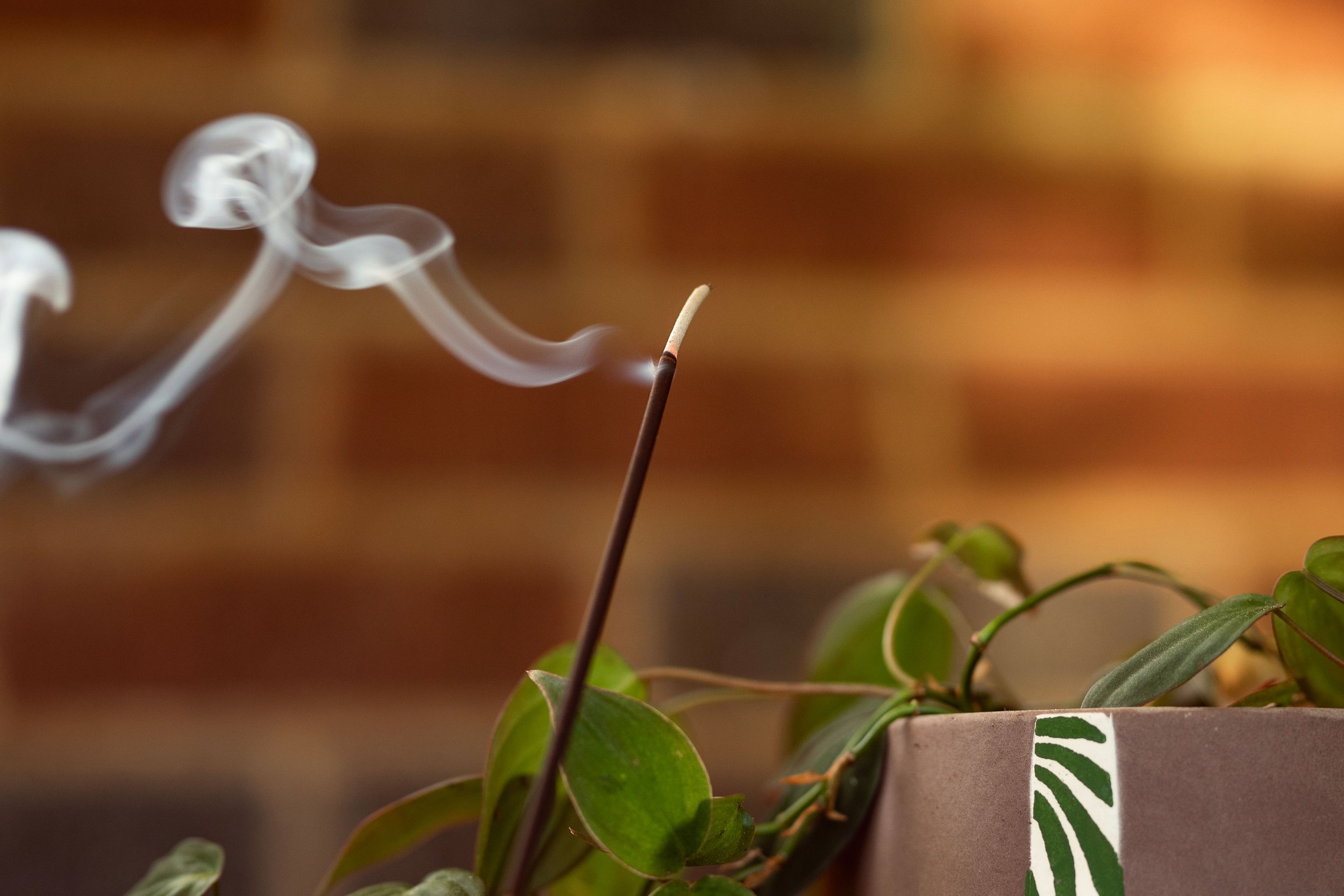 Hand-Dipped Incense 10 pack