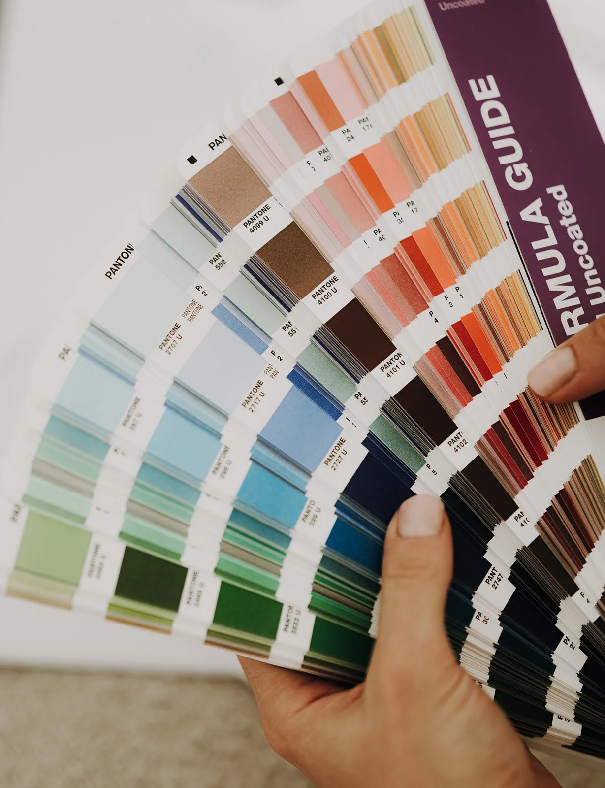 Pantone-Farbfächer in der Hand als Teil der Entwicklung einer visuellen Markenwelt