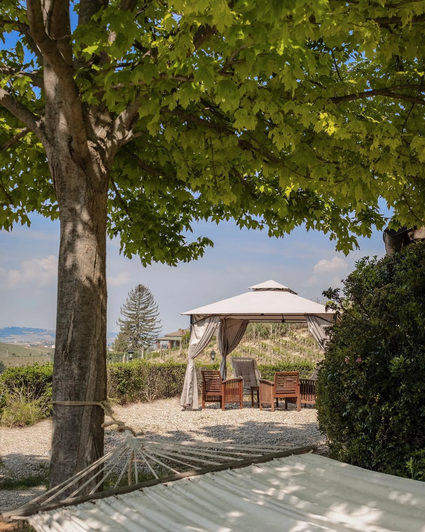 Fra una vigna e l&rsquo;altra, pausa. 

#LonatiWinery