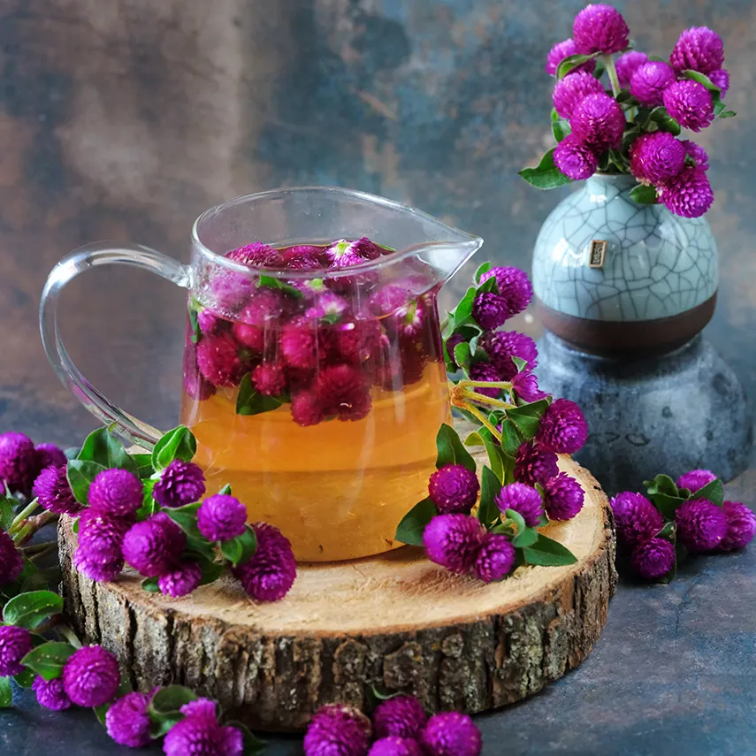 gomphrena2-buddy-purple--zs016.png