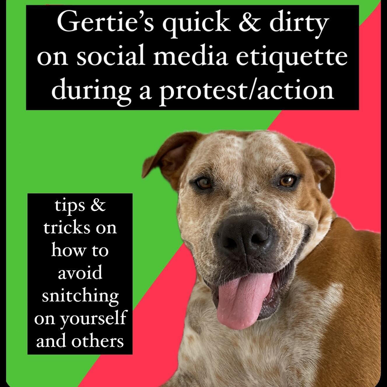 Gertie says&hellip;