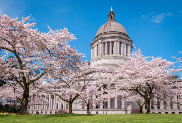 Washington’s Housing Trust Fund Explained
