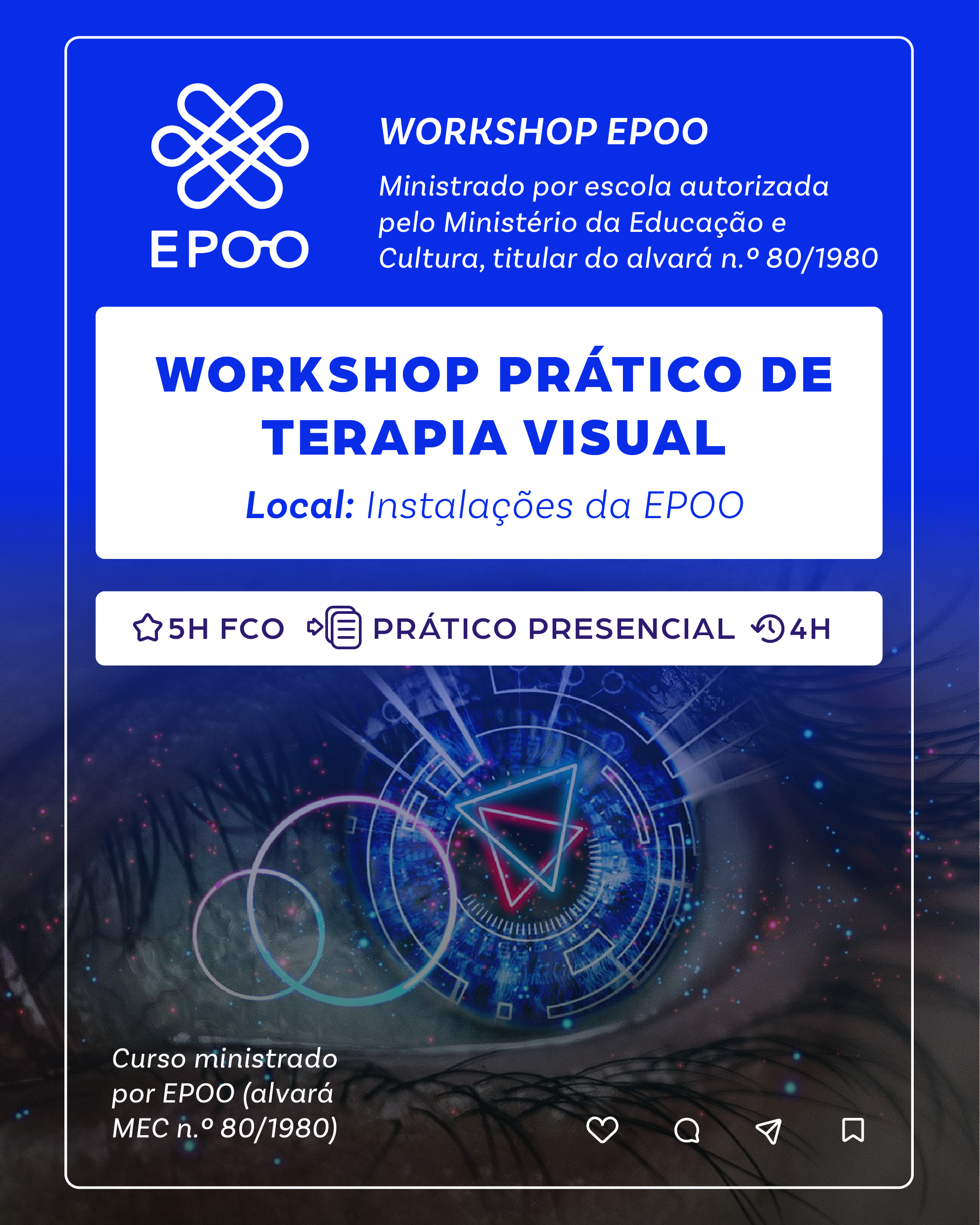 Workshop Prático de Terapia Visual