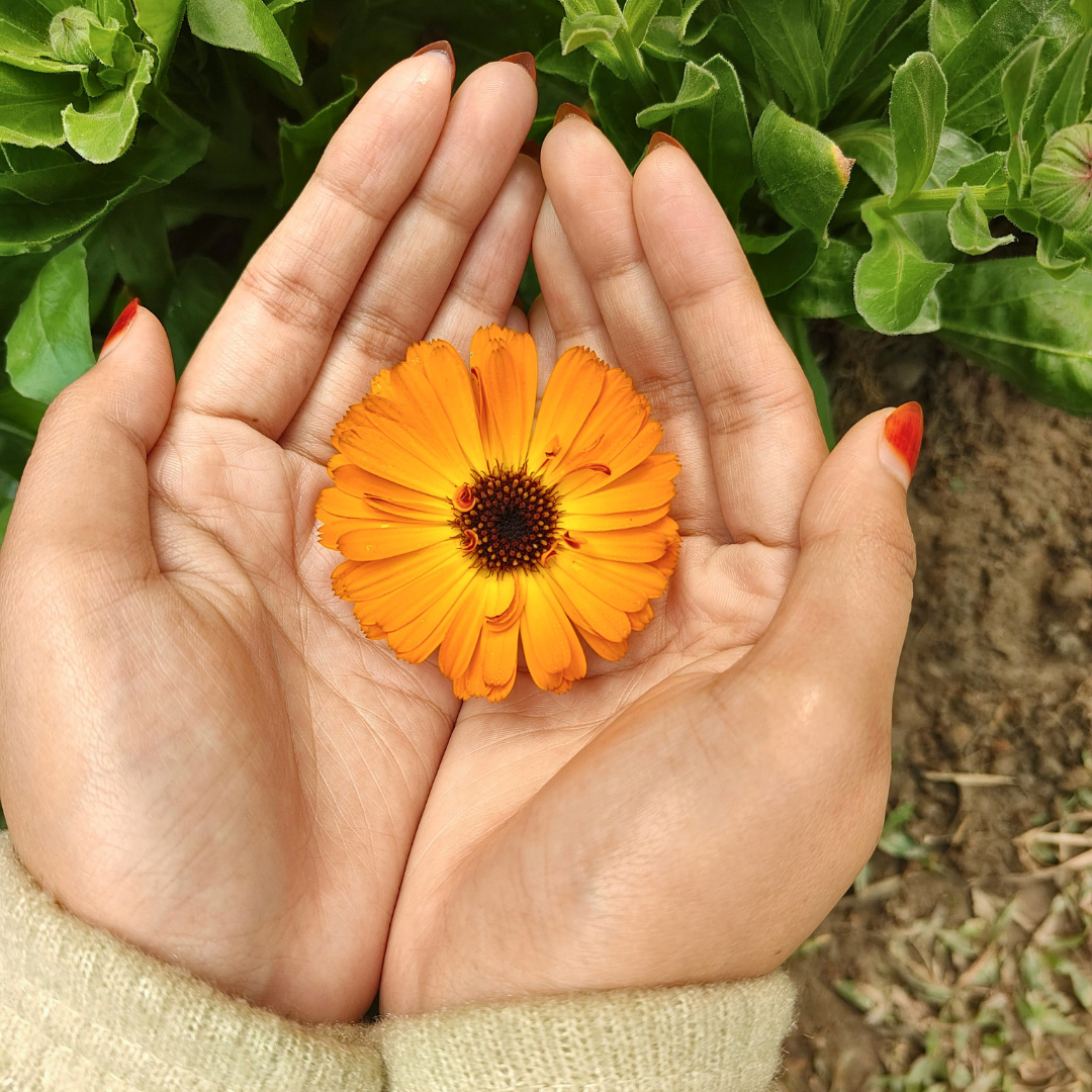 Essentialism for Burnout: Why Decluttering Your Home Won’t Fix Your Mental Load