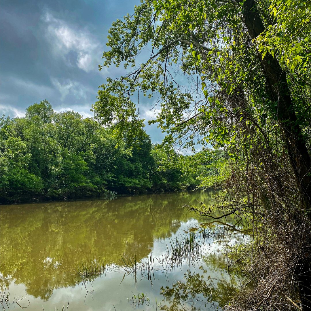 Tales From the River: Changed Plans, Power Naps and Asian Recipes In My RV Kitchen