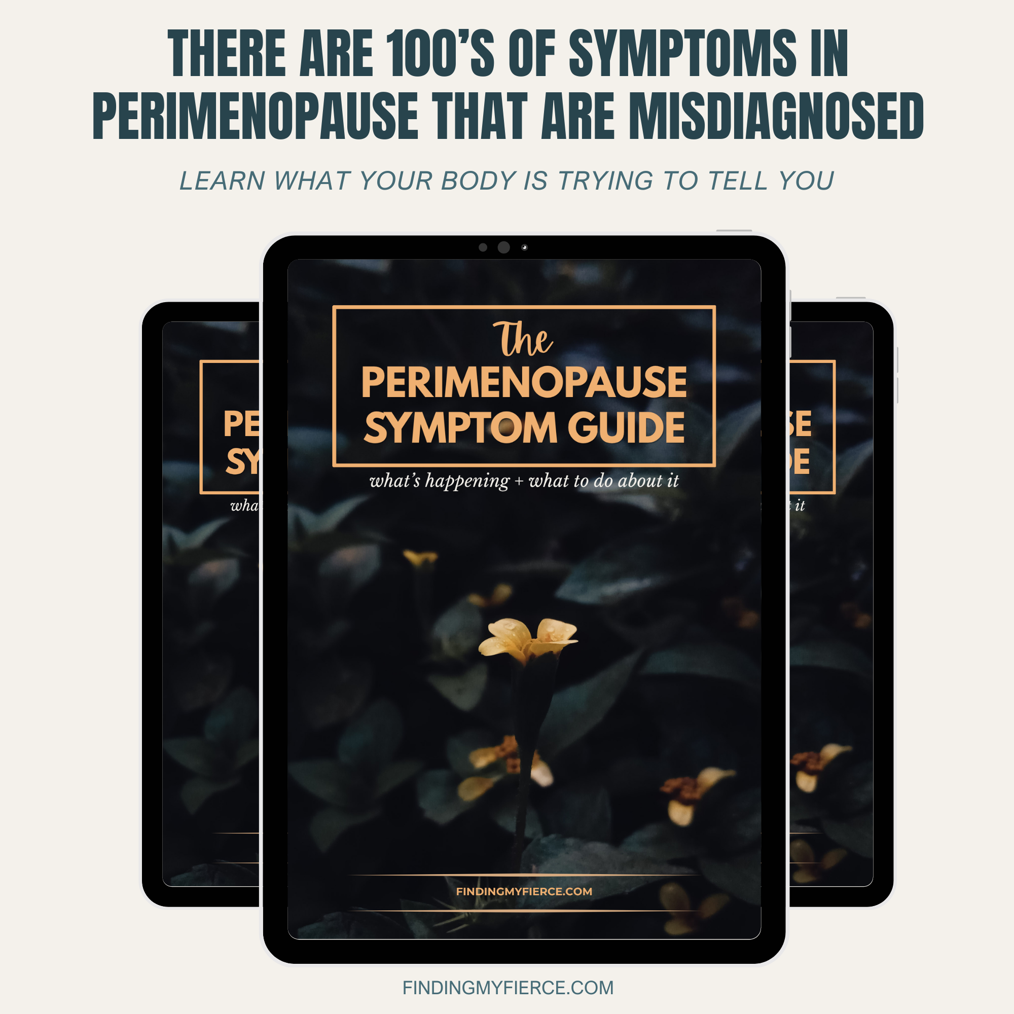 Perimenopause Symptoms Guide Mockup Square.png