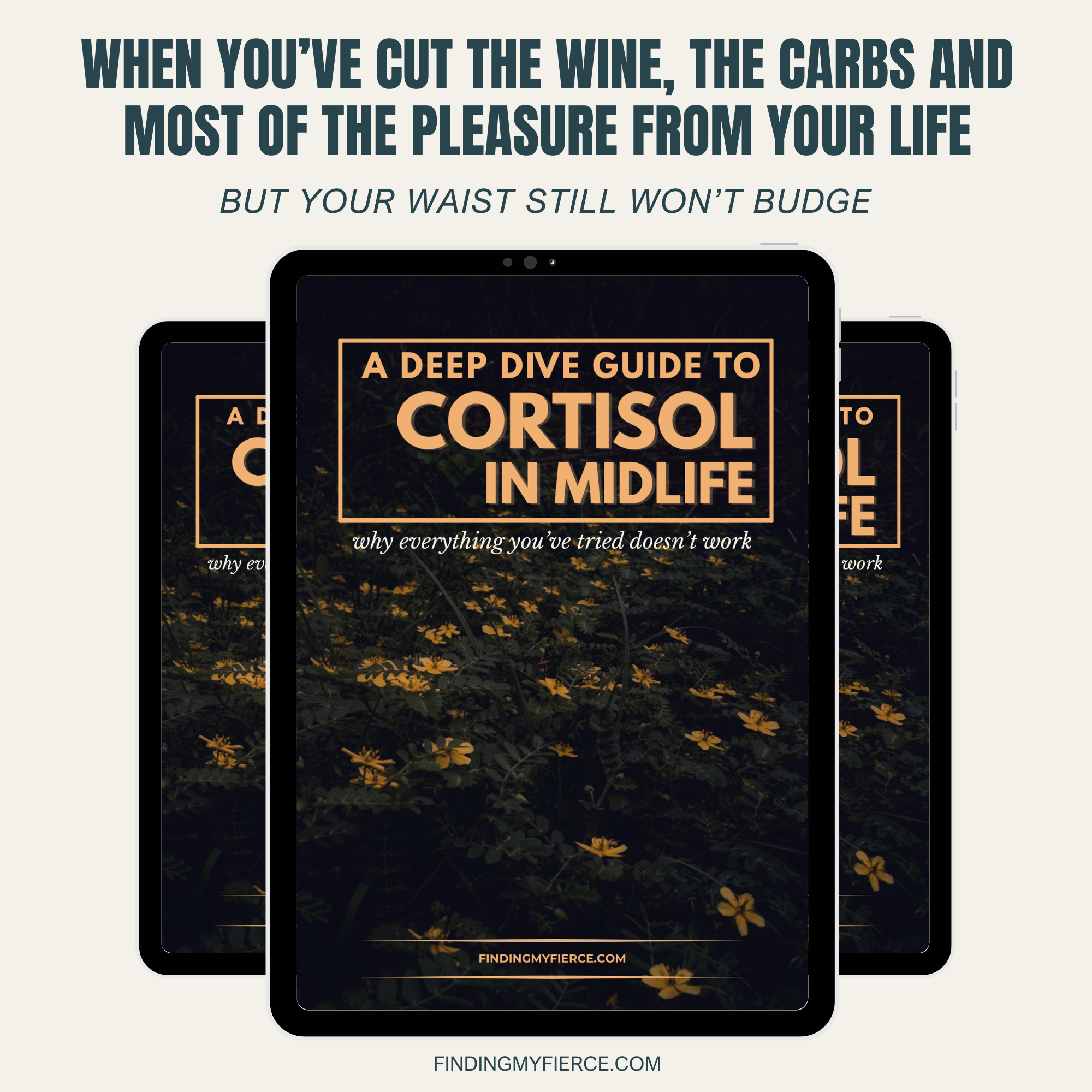 The Cortisol Deep Dive Guide