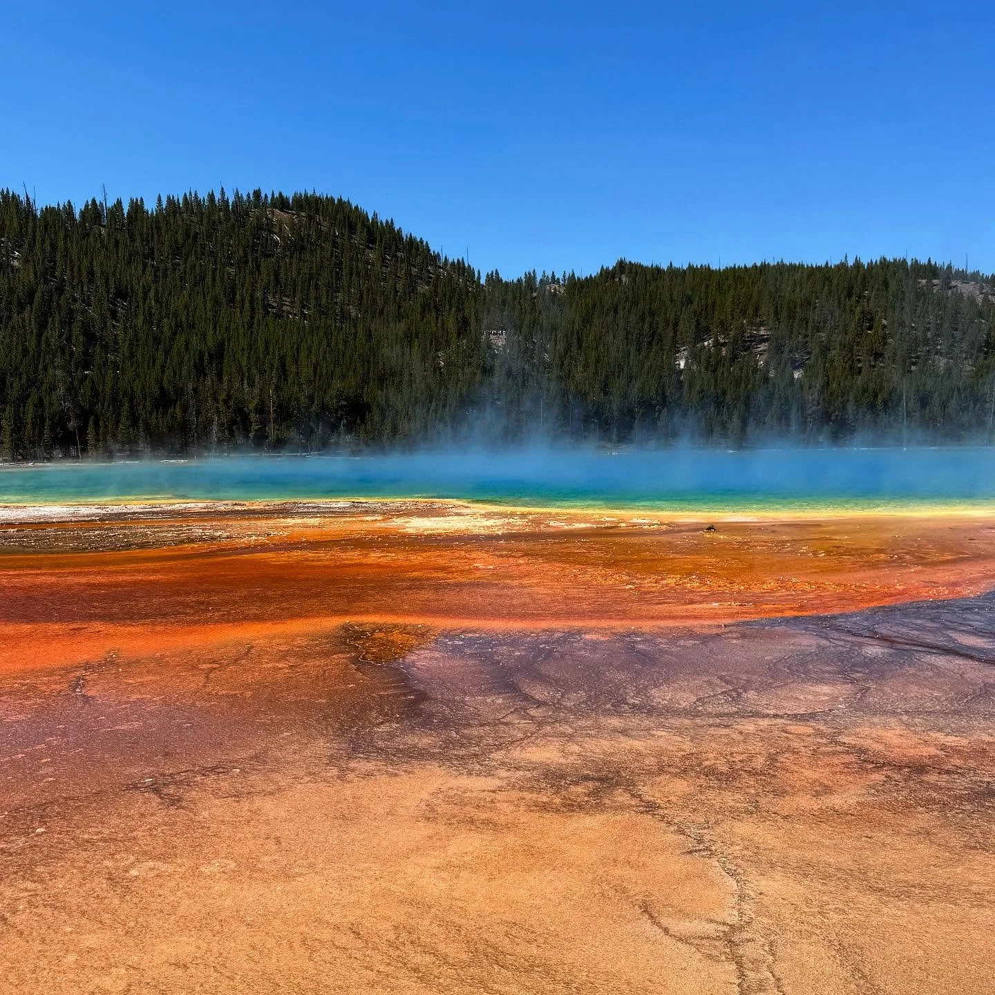 While in Wyoming for a friend’s wedding, we couldn’t resist sneaking away to explore Yellowstone! 🌄 We made the 3-hour drive from Cody, WY, and even though we only had time for Old Faithful and the Grand Prismatic Spring, it was SO worth