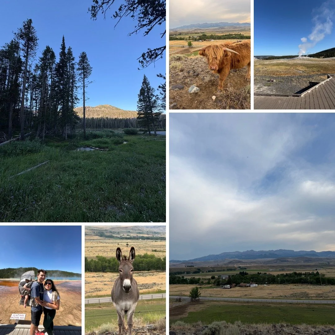 I recently embarked on a memorable journey to Cody, Wyoming, for a friend's wedding, which also offered the thrill of exploring stunning landscapes. The trip began with a stop at Yellowstone National Park, a place on my travel bucket list. I was capt