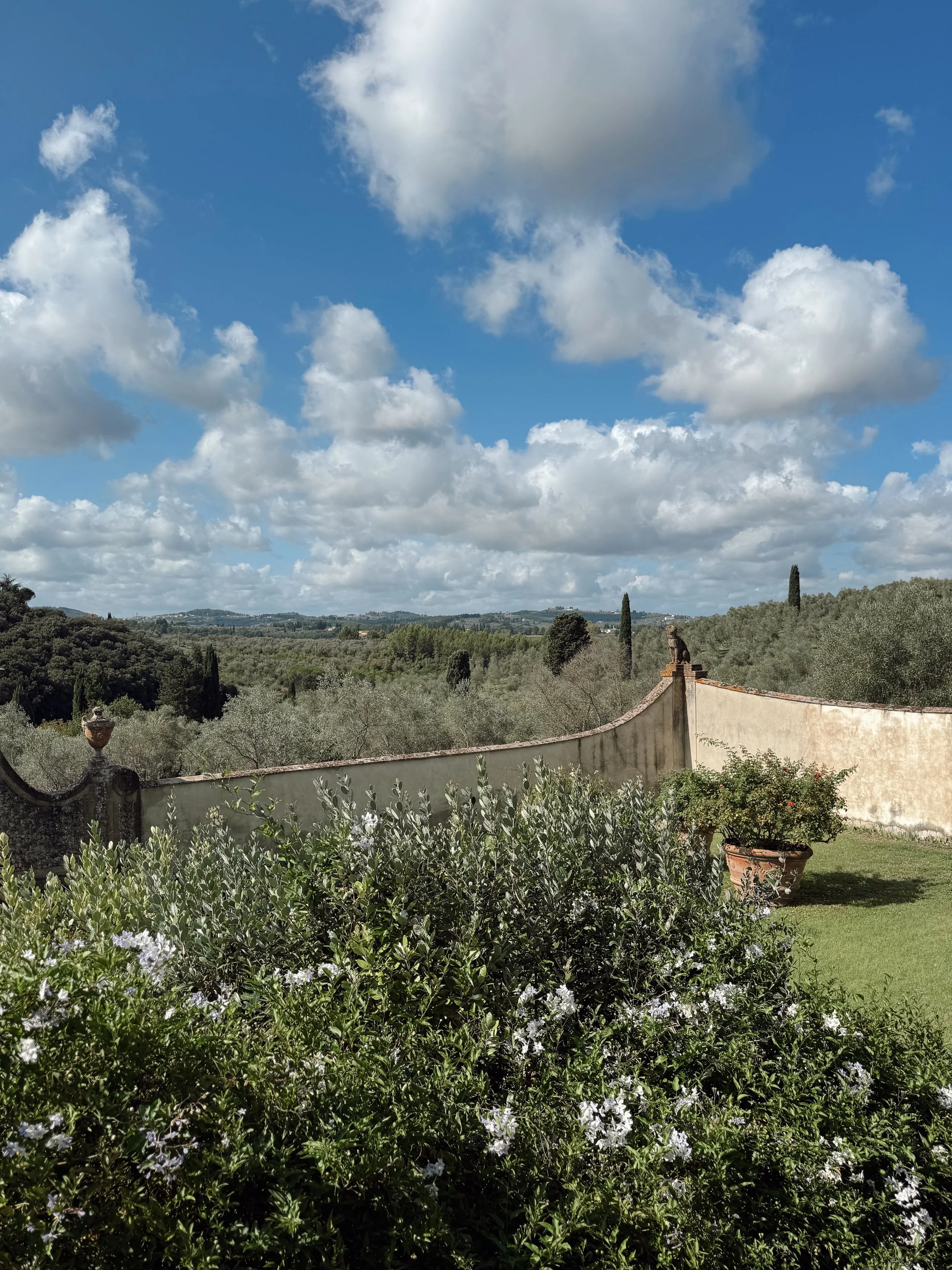 VILLA MEDICEA DI LILANO (FLORENCE, ITALY)