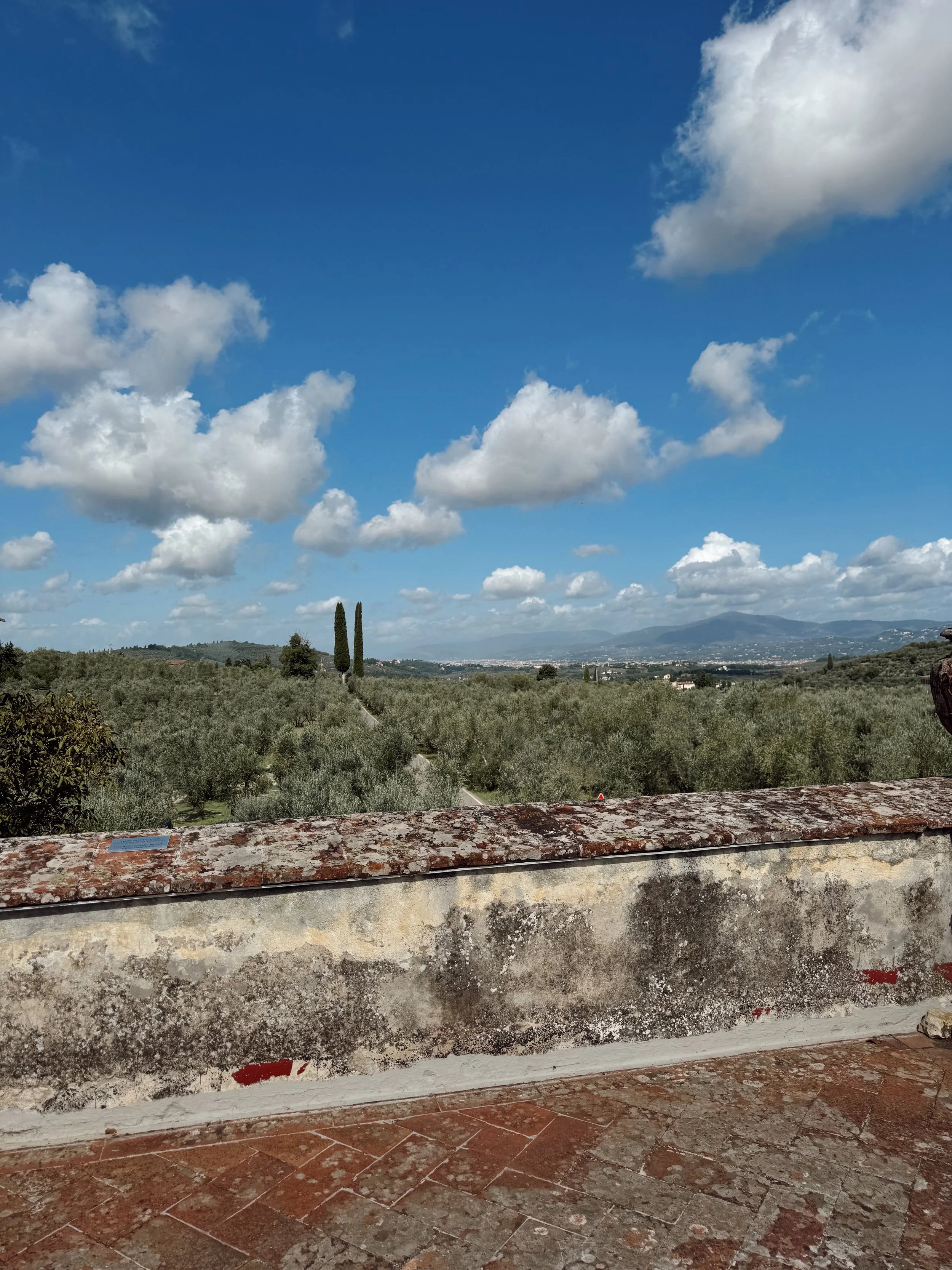 VILLA MEDICEA DI LILANO (FLORENCE, ITALY)