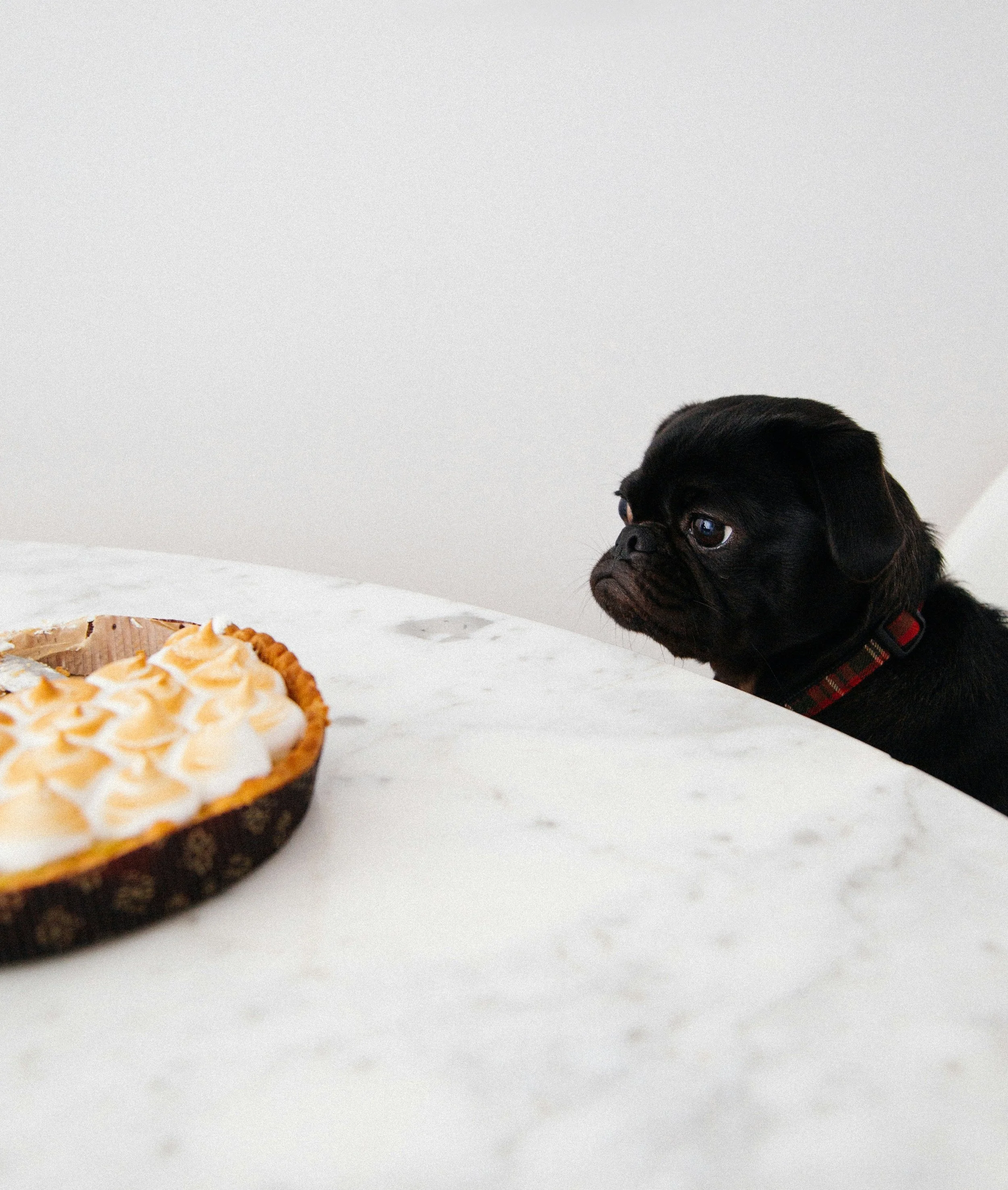 The Science of Satiety: Why Some Meals Leave You Starvinggg So Soon