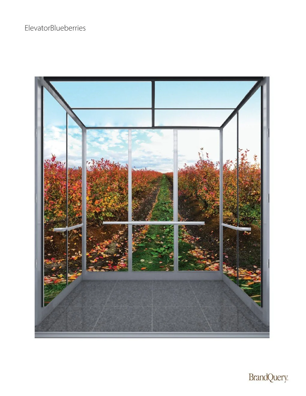 Eelvator Blueberry Wall Panels.jpg