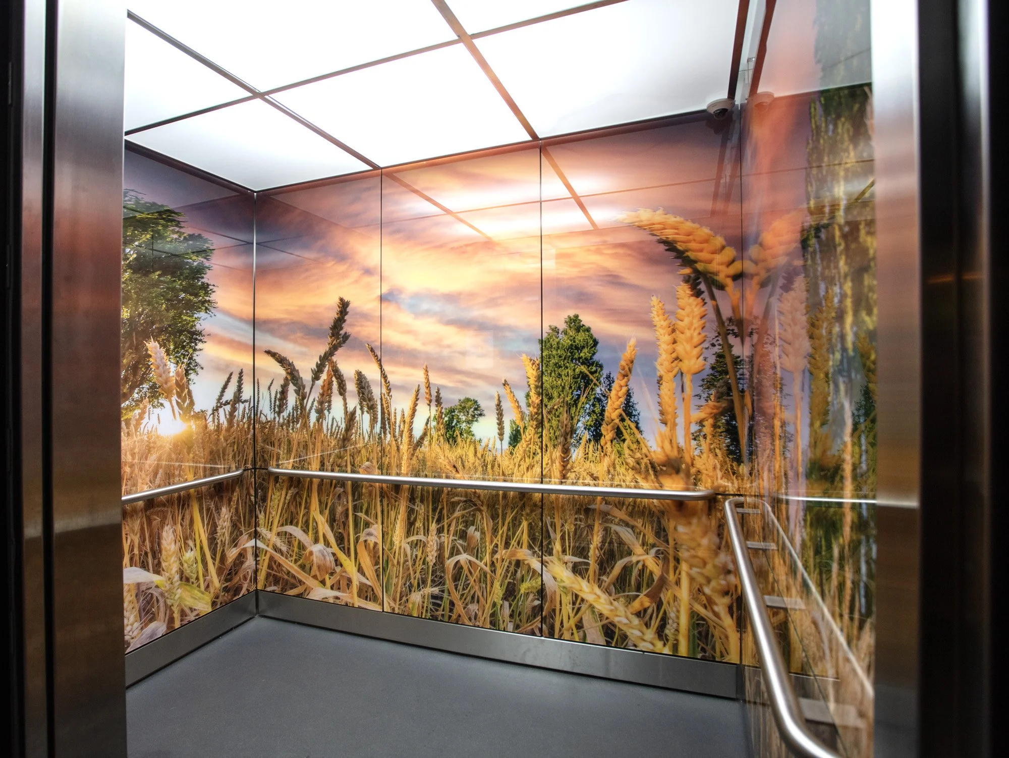 The Magic Skagit at the MVLC