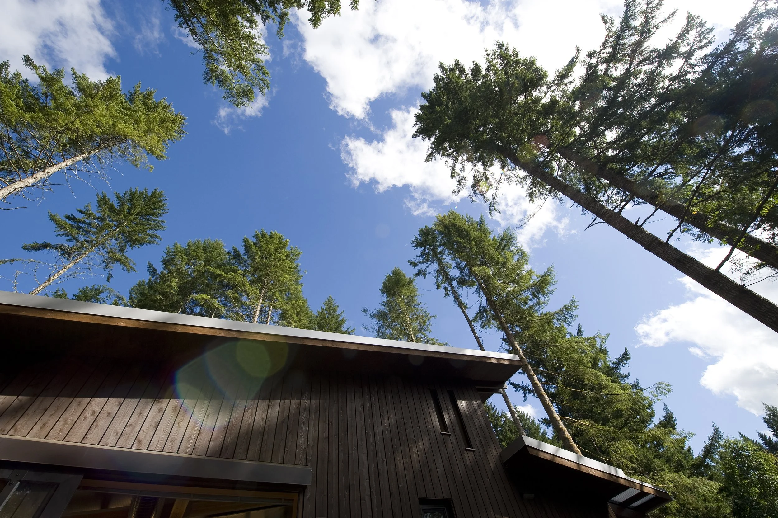 sky trees and edge of roof MEB6626.jpg