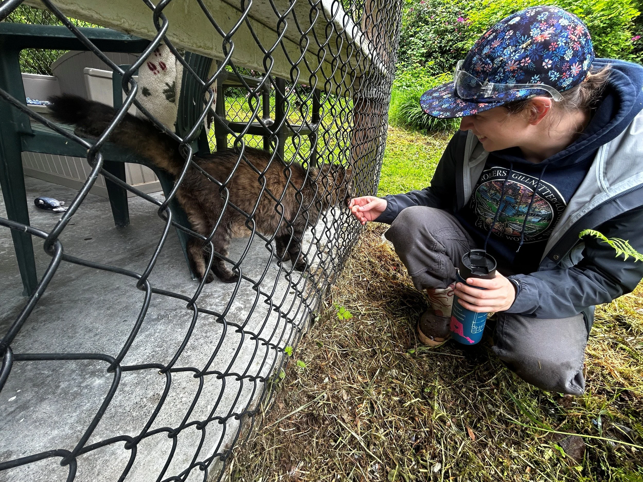 This spring, the HKP team traded our desks for catios as we spent a day volunteering with Purrfect Pals!

Our crew helped prepare outdoor spaces for the summer by pressure washing catios, washing climbing equipment, pulling weeds, mowing grass, rakin