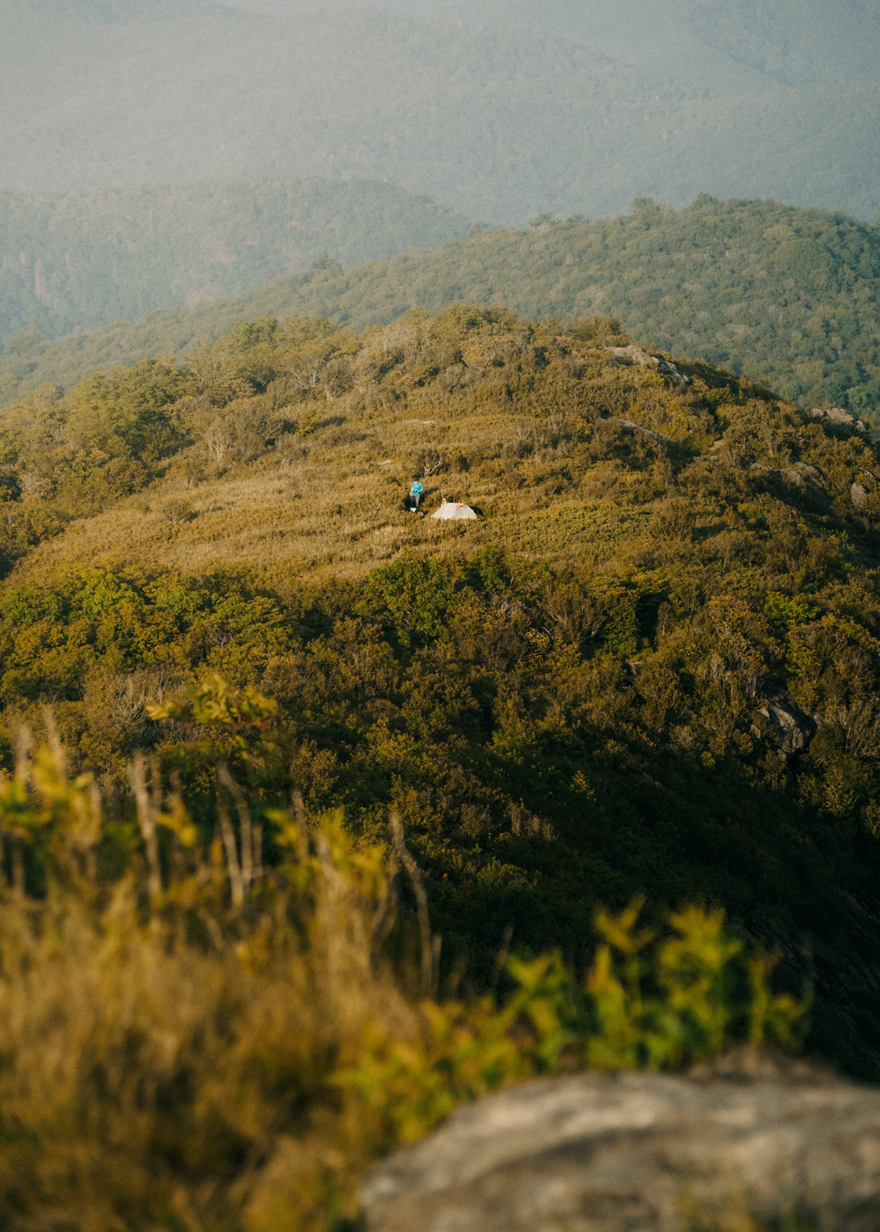 hills.jpg