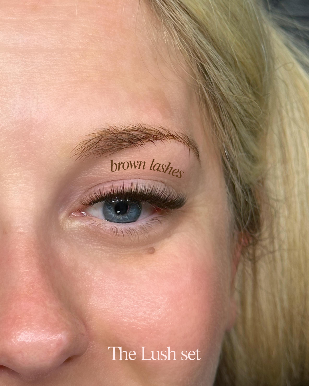 Brown Hybrid Lashes close up Allison.png