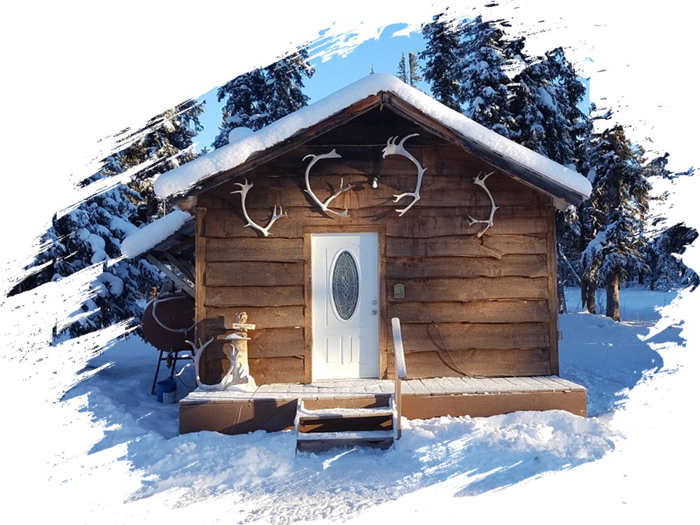 Vacation Cabin Rentals near WrangellSt. Elias National Park in Alaska