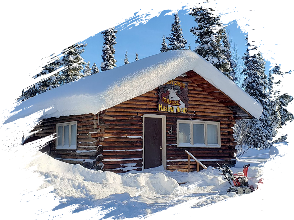 Wrangell Mountains Wilderness Lodge & Cabins Vacation Rentals in Alaska