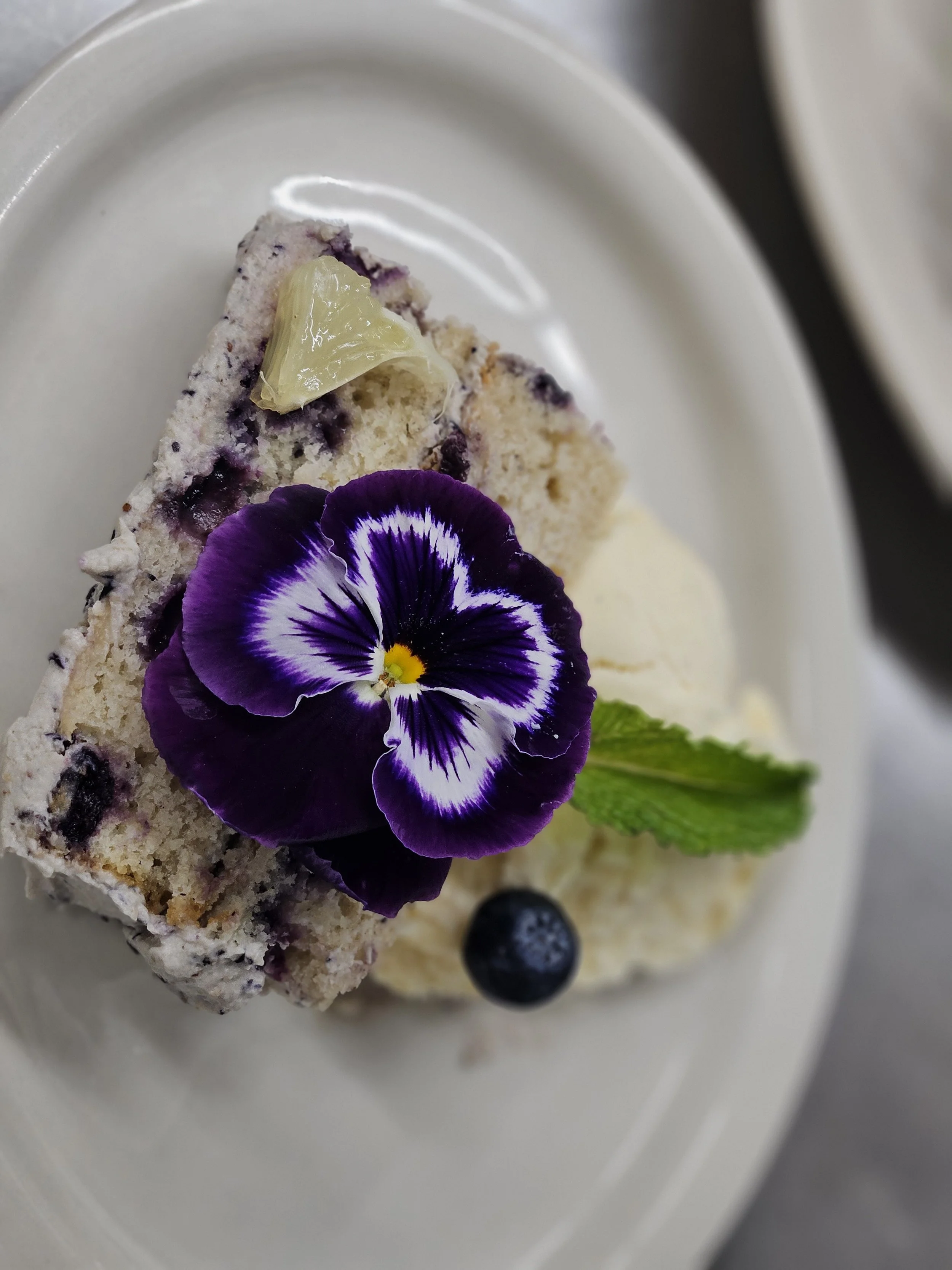 Lemon Blueberry Cake.jpg