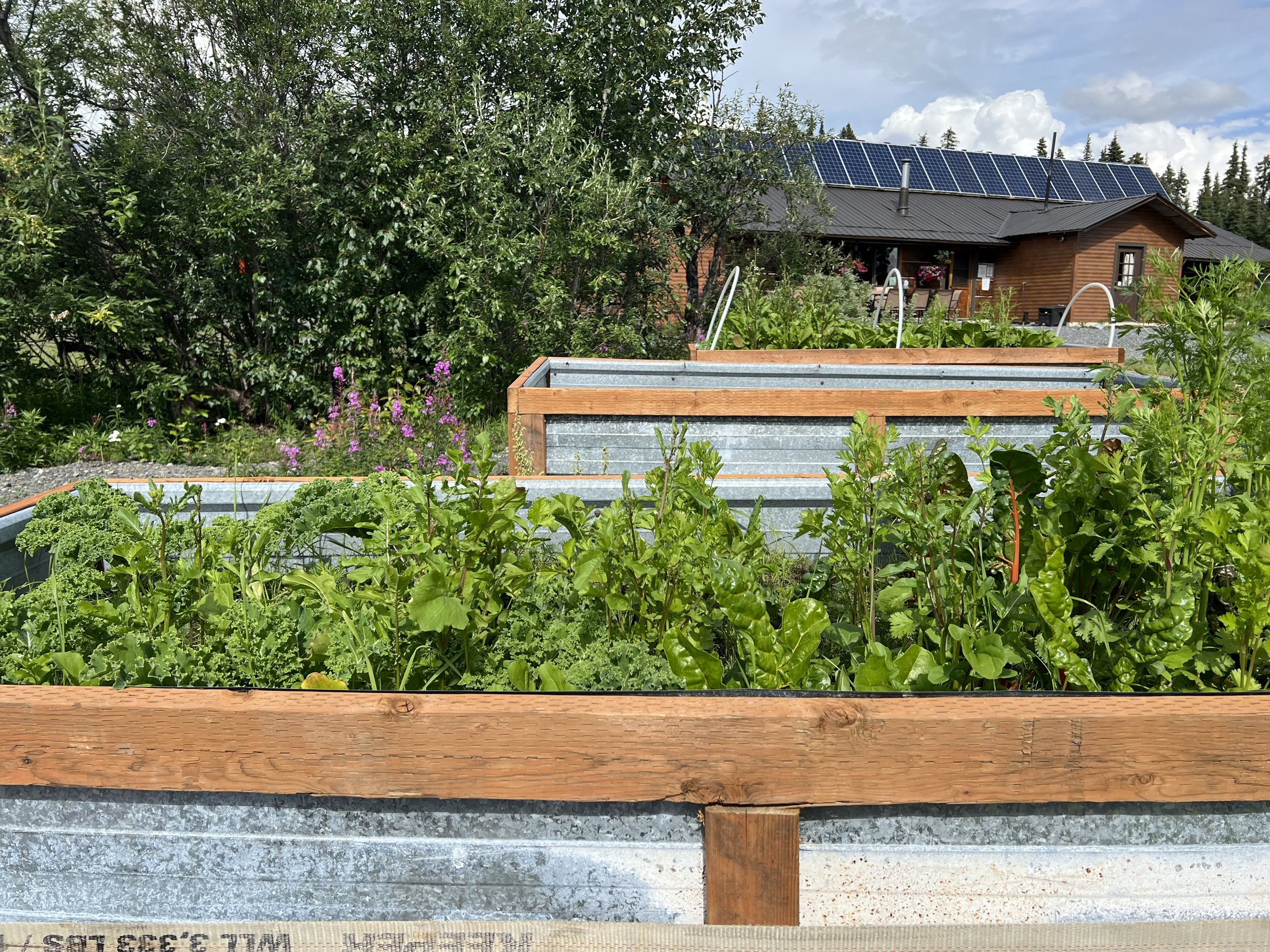 Gardens With Lodge.JPG