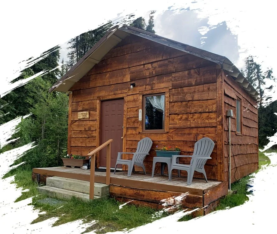 Fox's Den Vacation Cabin