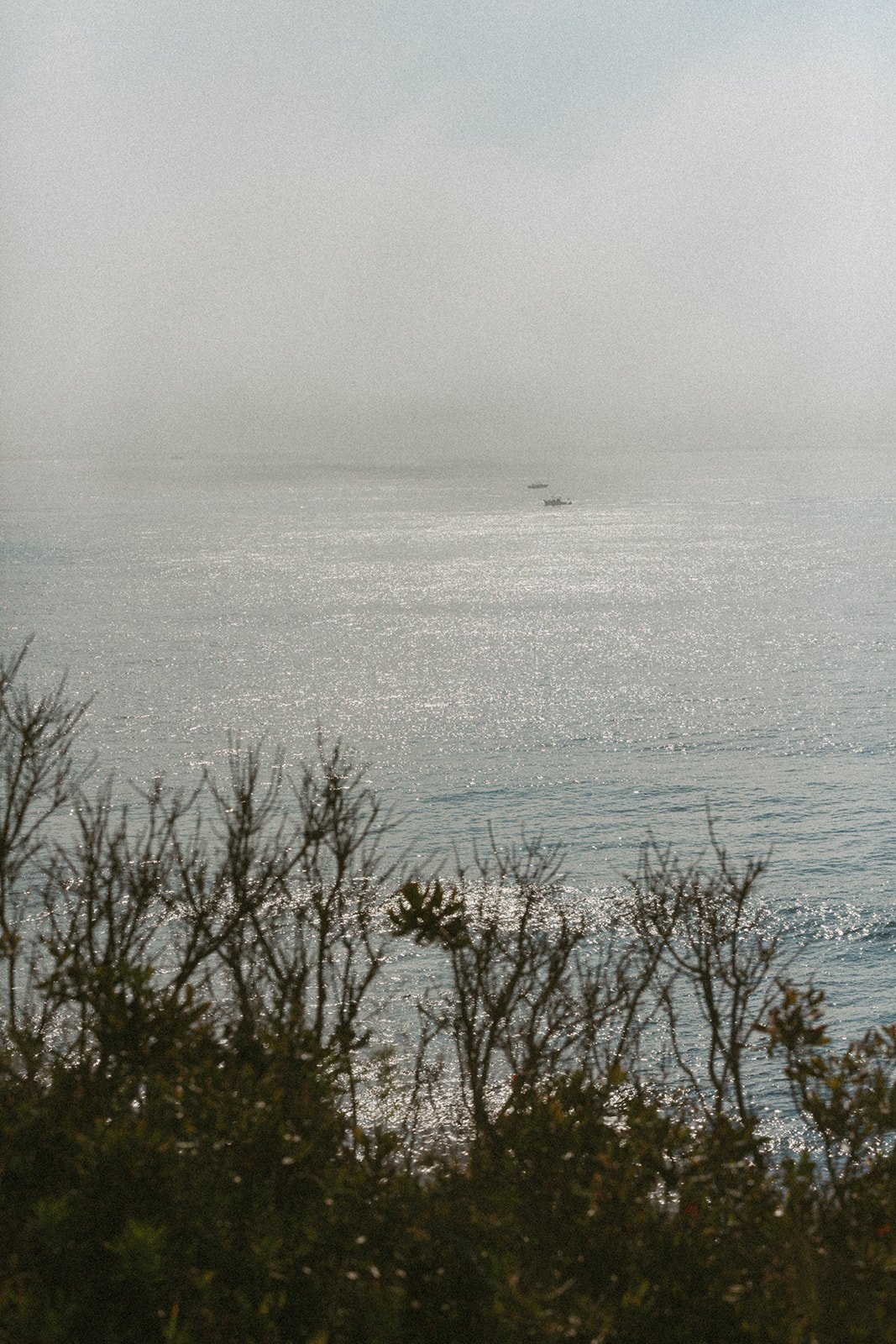 Suzy Anderson Photography-181_websize.jpg