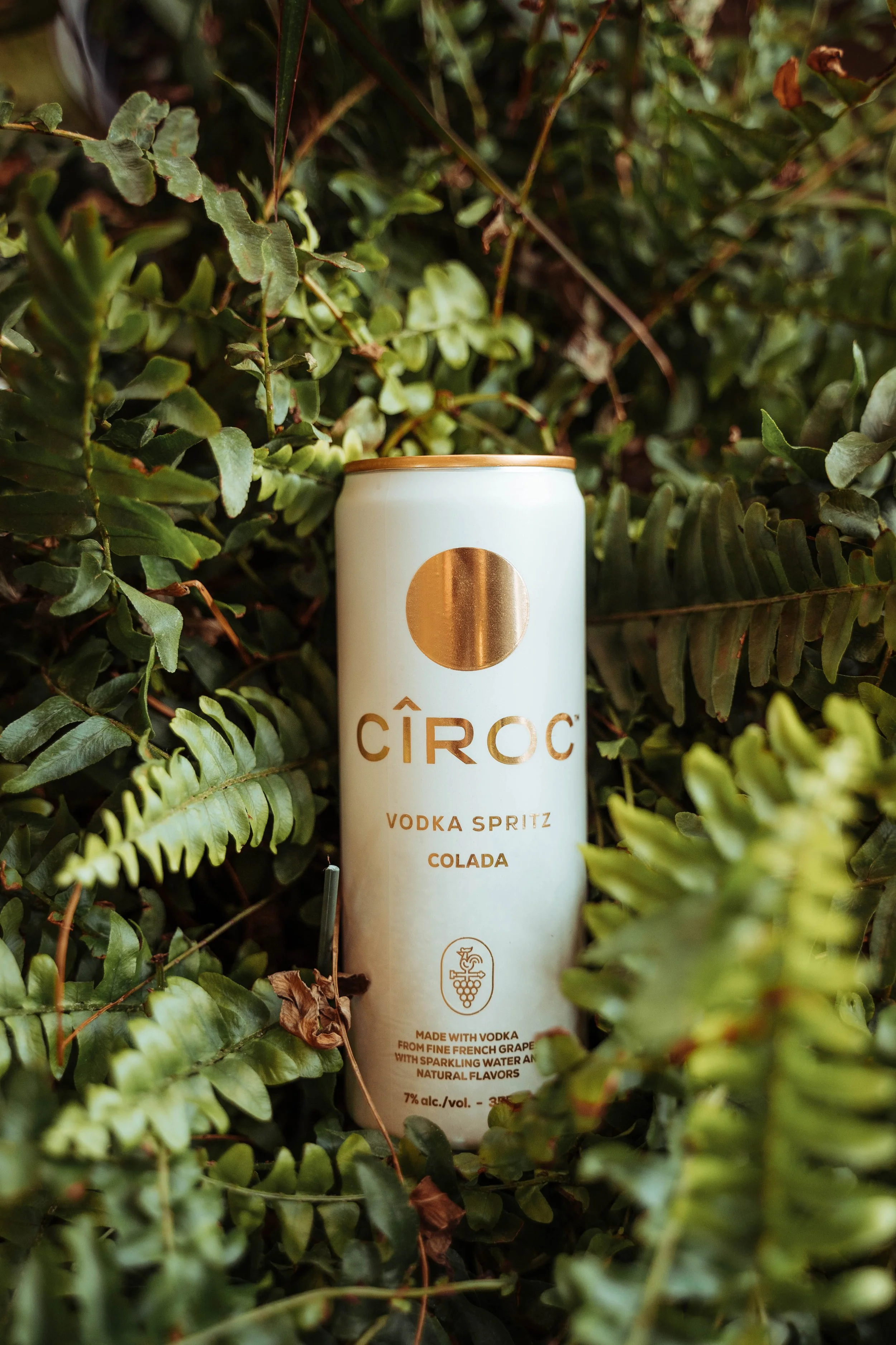 A can of Cîroc vodka spritz colada flavored drink surrounded by green foliage.