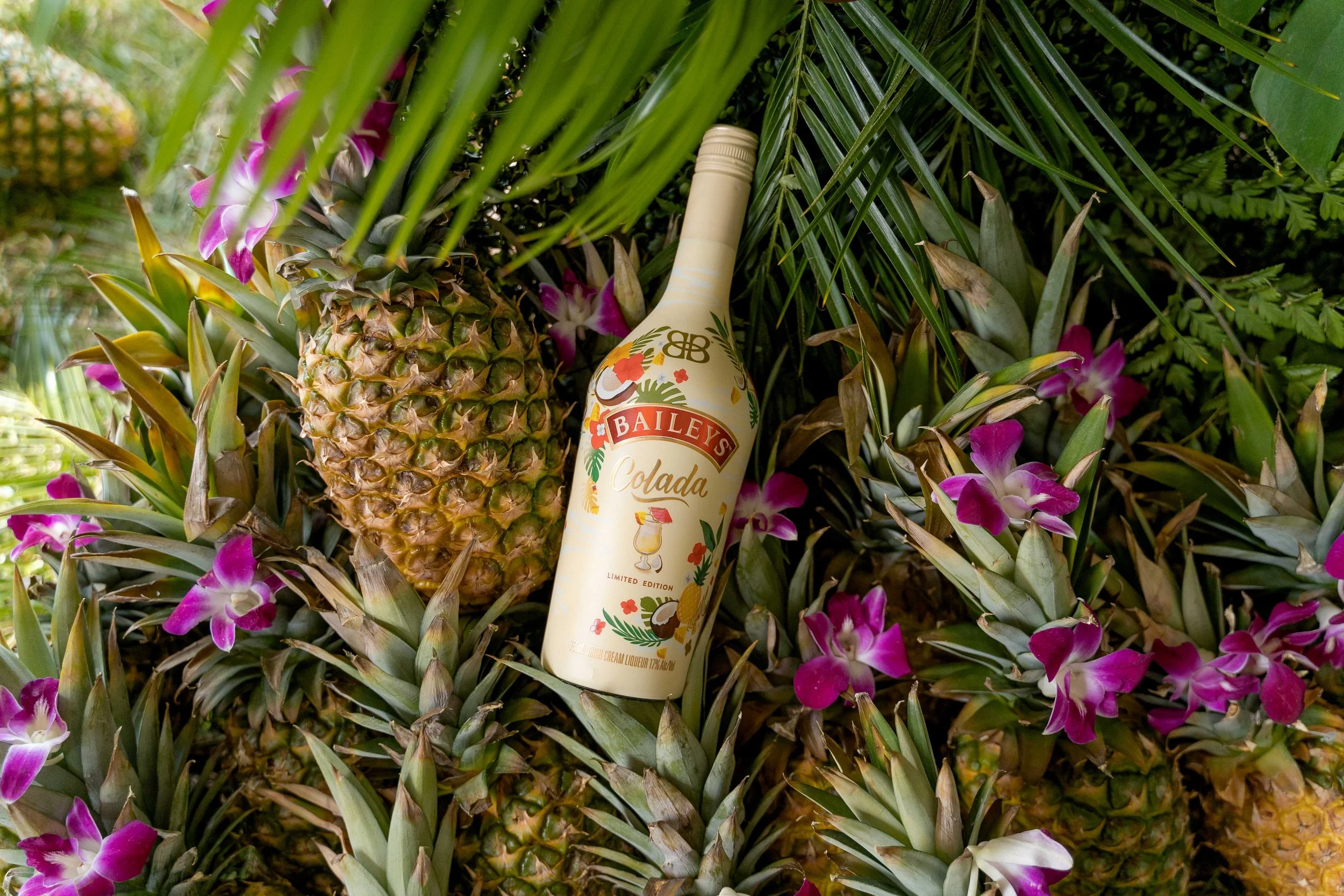A bottle of Baileys Colada cream liqueur placed among pineapples, orchid flowers, and tropical green plants.