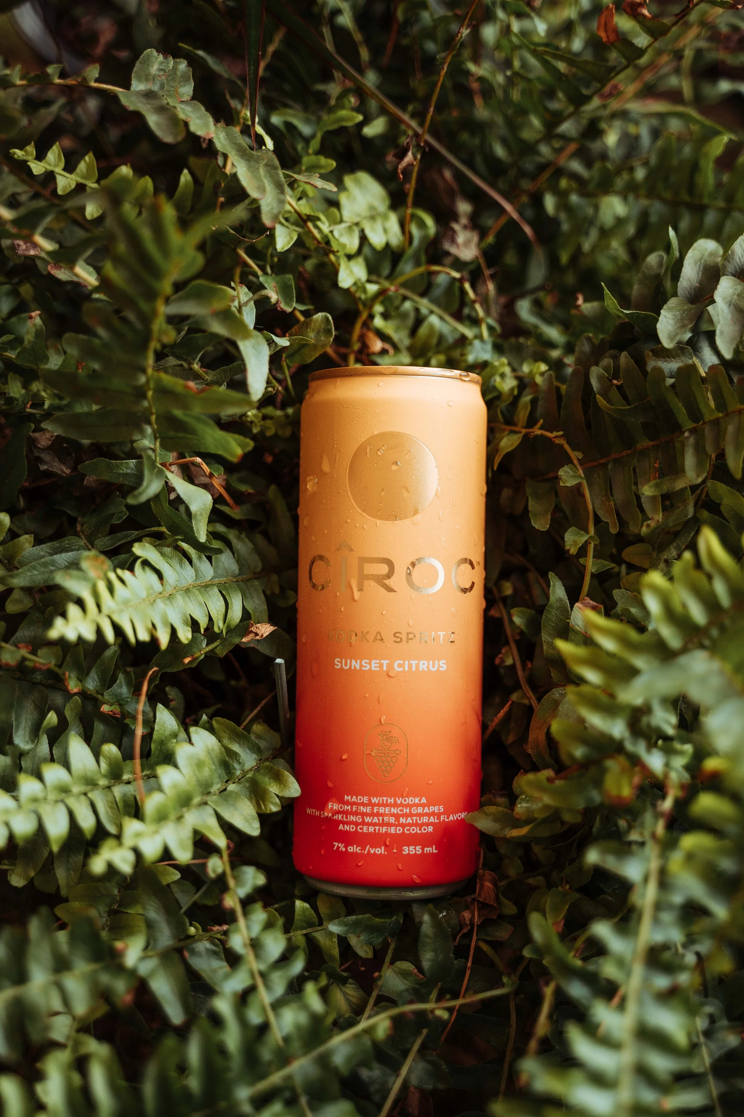 A can of CÎROC Sunset Citrus vodka spritz surrounded by green leaves with water droplets on the can.
