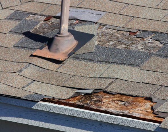 roof-damage-repair-services.jpg