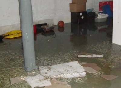 Tampa FL flood dry out services