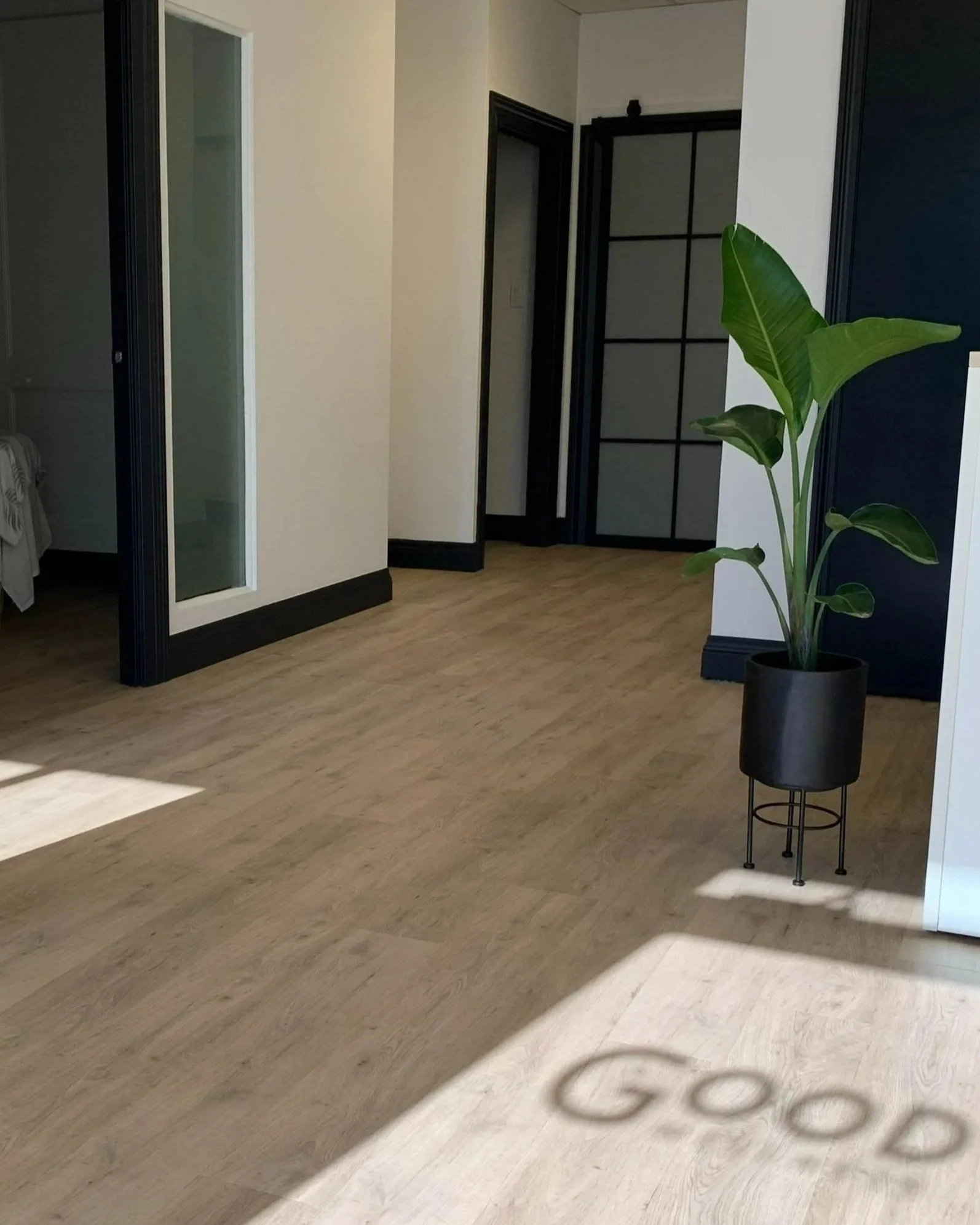 Interior of a modern room with light wood flooring, white walls, a potted plant in a black pot, and sunlight casting the word 'GOOD' on the floor.