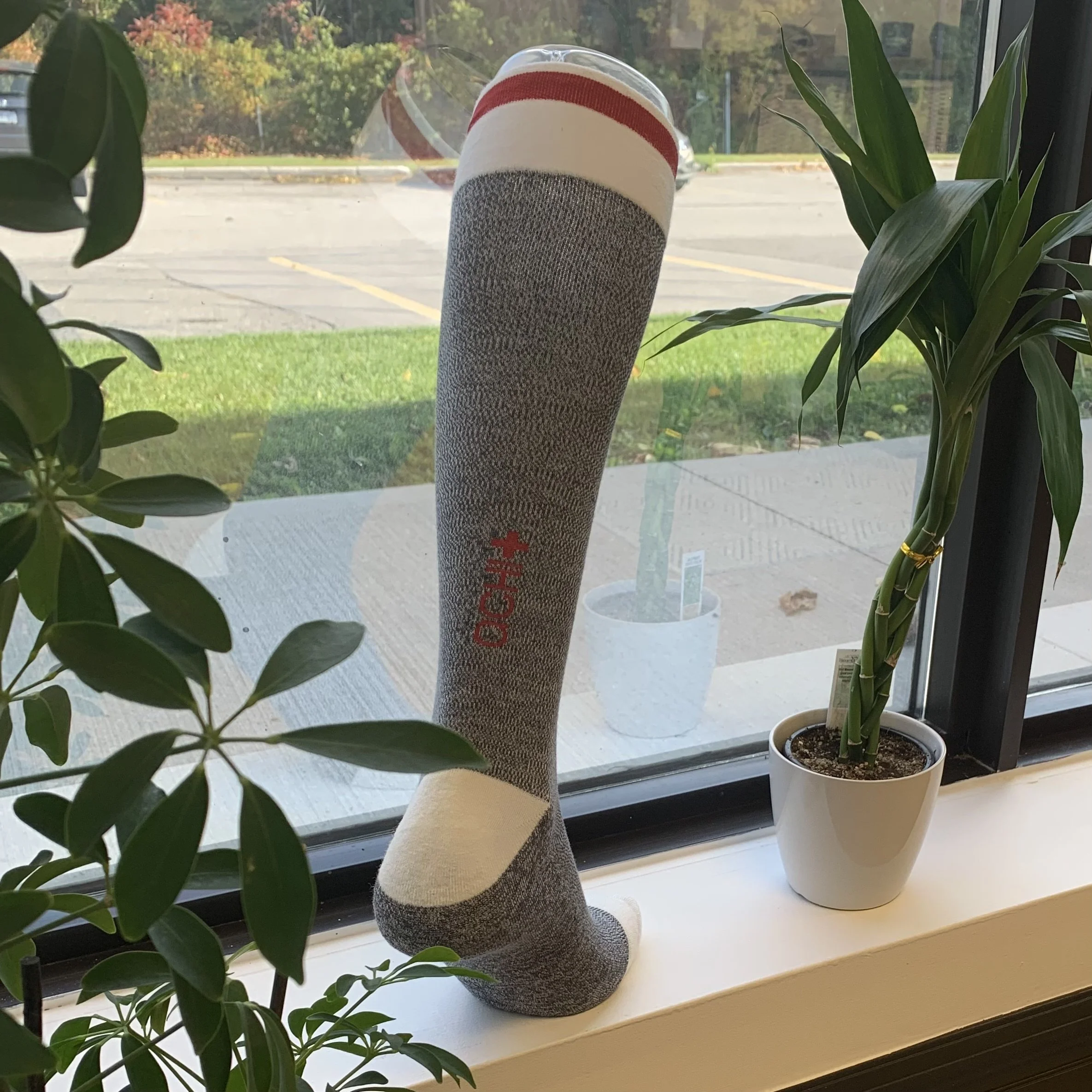 Our Services Barrie Chiropractic, Physiotherapy, Acupuncture, Massage