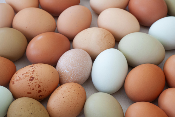 FDA Recalls 19 Million Eggs: Why Anti-Salmonella Bacteriophage Belongs in Every Egg Processor's Toolkit