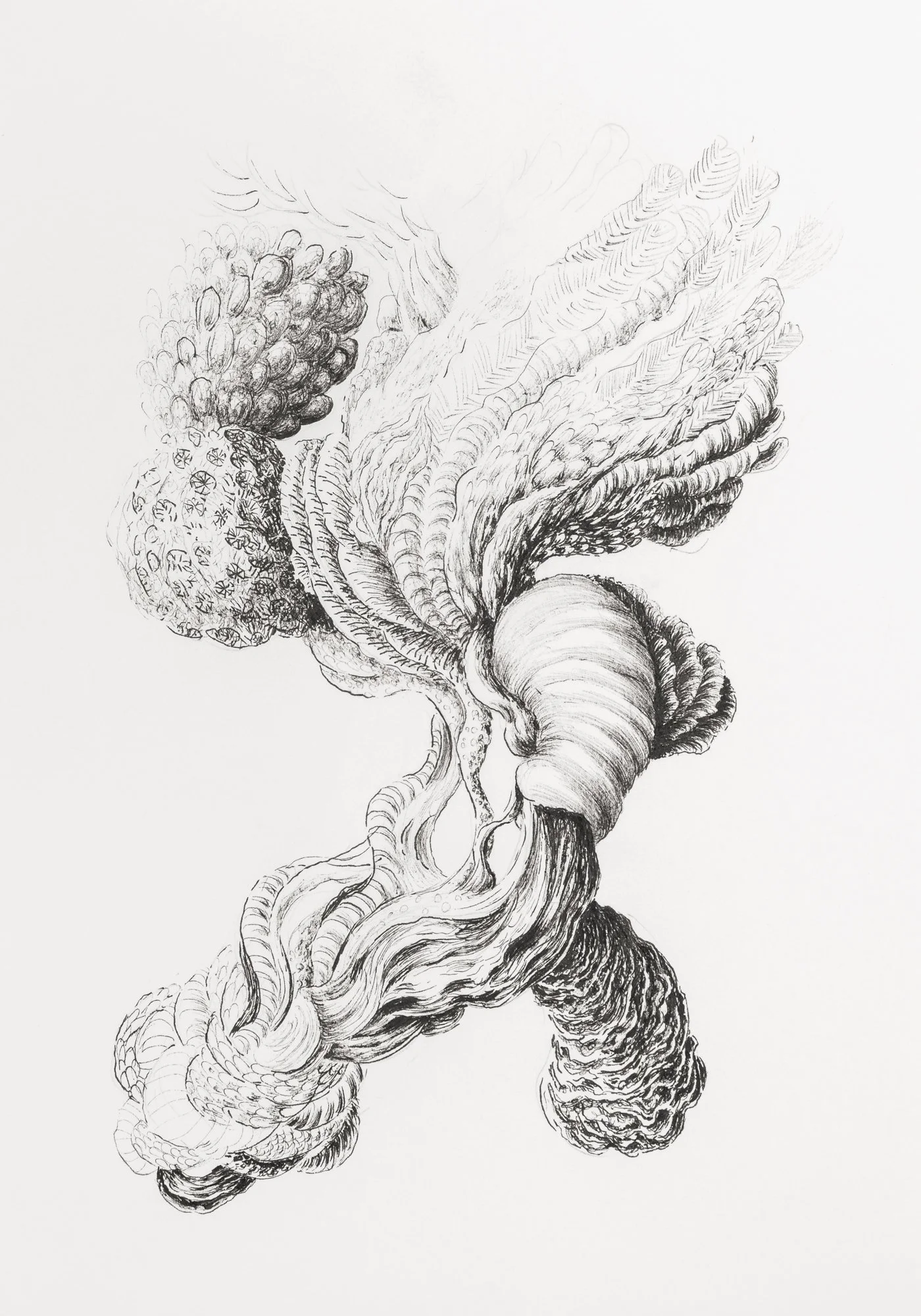 Agrégats 2, 2025, encre pigmentaire sur papier Clairefontaine lisse 250g, 21 x 15 cm, crédit photo Paul Hennebelle, @_flaneur_studio