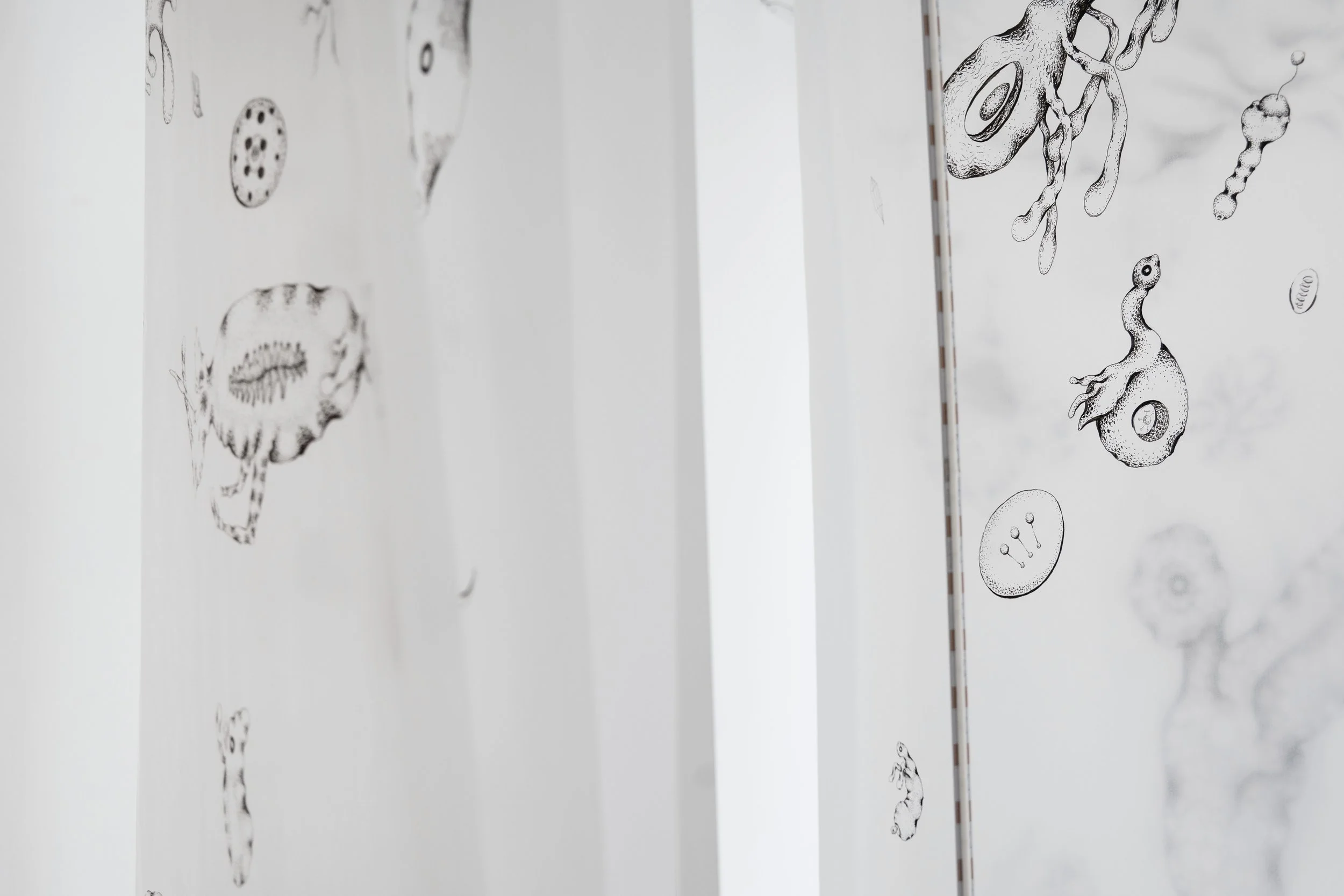 Photosynthèse, 2023, papier translucide, néons, 270 x 70 x 100 cm, crédit photo Allison Borgo