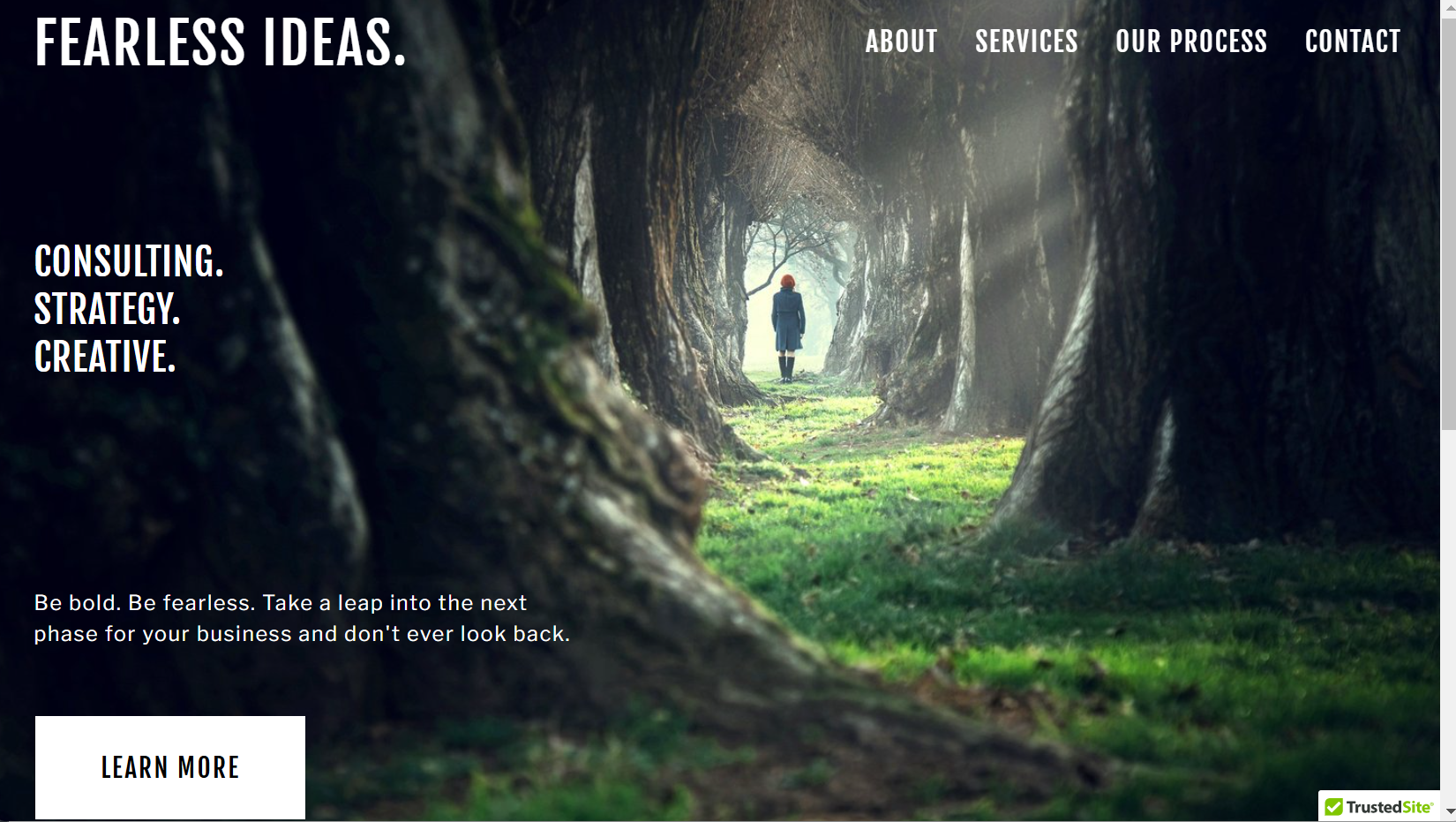 Fearless Ideas.png