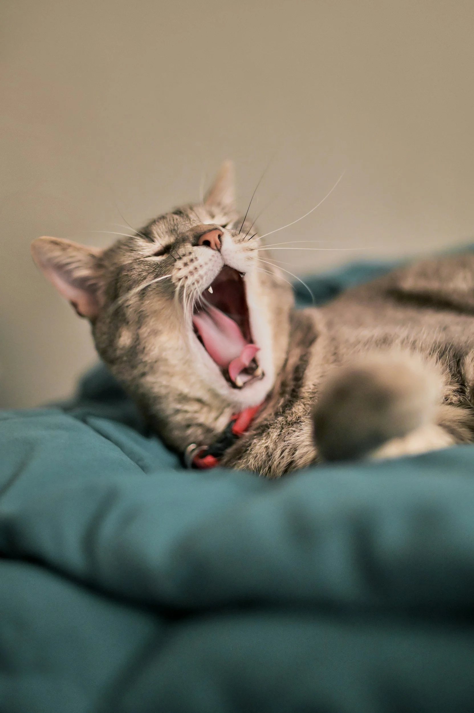 Can We Talk About How Tired You Are?