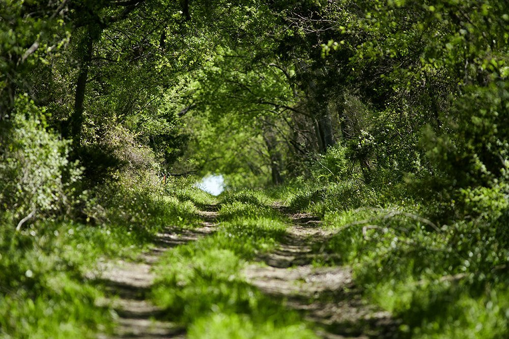 Oxland's Painted Tree Community Earns Title of Best Real Estate Deal