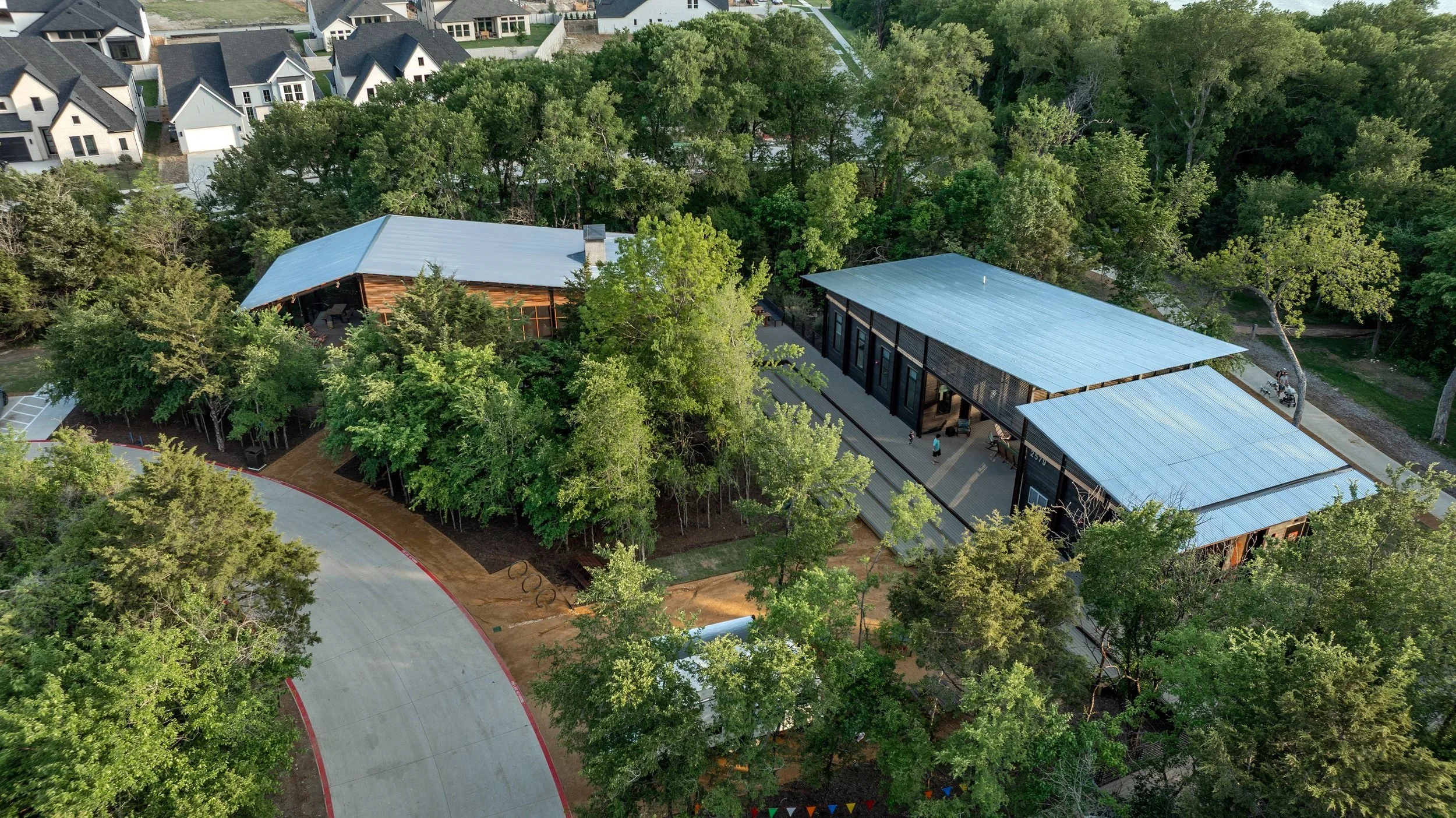 Painted Tree McKinney Texas