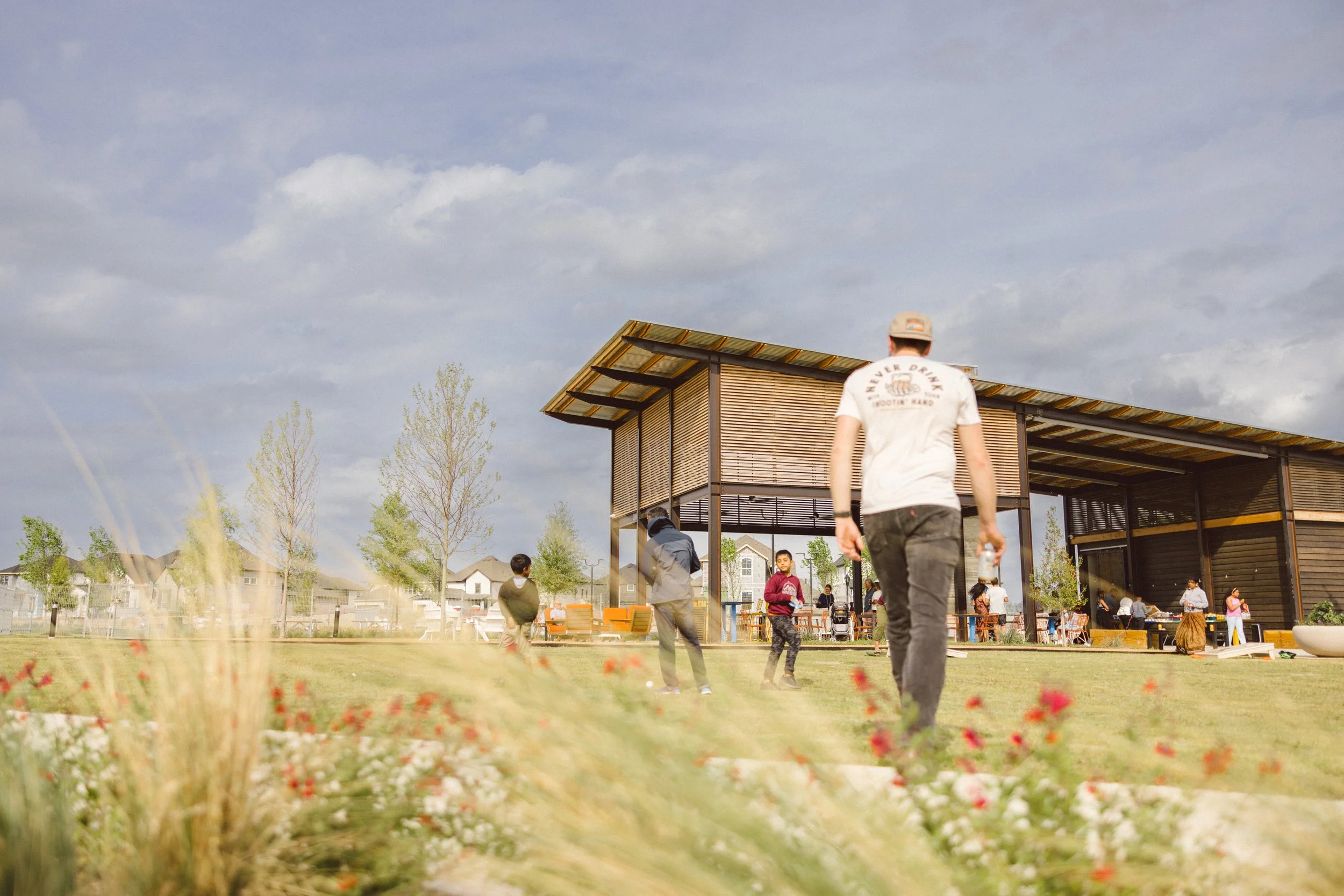 Painted Tree McKinney Texas