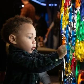 New York Times article